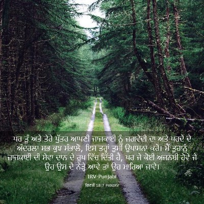 Picture 03 - ਗਿਣਤੀ 18:7 PANIRV - ਪਰ ਤੂੰ ਅਤੇ ਤੇਰੇ - Bible Verse Picture