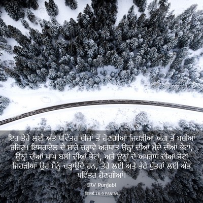 Picture 03 - ਗਿਣਤੀ 18:9 PANIRV - ਇਹ ਤੇਰੇ ਲਈ ਅੱਤ - Bible Verse Picture