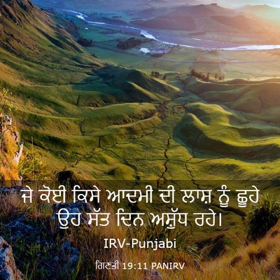 Picture 03 - ਗਿਣਤੀ 19:11 PANIRV - ਜੇ ਕੋਈ ਕਿਸੇ ਆਦਮੀ ਦੀ - Bible Verse Picture