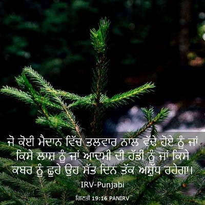 Picture 03 - ਗਿਣਤੀ 19:16 PANIRV - ਜੋ ਕੋਈ ਮੈਦਾਨ ਵਿੱਚ - Bible Verse Picture