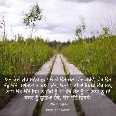 Picture 03 - ਗਿਣਤੀ 19:18 PANIRV - ਅਤੇ ਕੋਈ ਸ਼ੁੱਧ - Bible Verse Picture