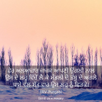 Picture 03 - ਗਿਣਤੀ 19:4 PANIRV - ਫੇਰ ਅਲਆਜ਼ਾਰ ਜਾਜਕ - Bible Verse Picture