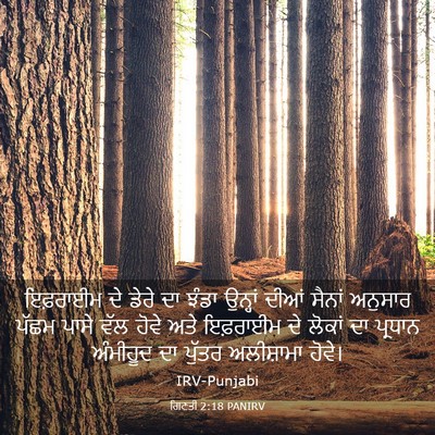Picture 03 - ਗਿਣਤੀ 2:18 PANIRV - ਇਫ਼ਰਾਈਮ ਦੇ ਡੇਰੇ ਦਾ - Bible Verse Picture