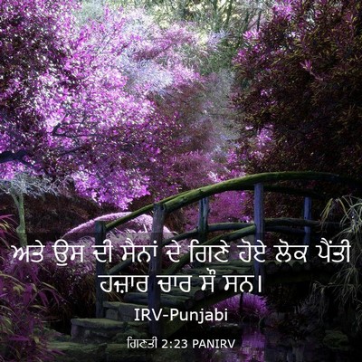 Picture 03 - ਗਿਣਤੀ 2:23 PANIRV - ਅਤੇ ਉਸ ਦੀ ਸੈਨਾਂ ਦੇ - Bible Verse Picture