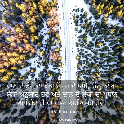 Picture 03 - ਗਿਣਤੀ 2:25 PANIRV - ਦਾਨ ਦੇ ਡੇਰੇ ਦਾ ਝੰਡਾ - Bible Verse Picture