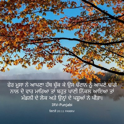 Picture 03 - ਗਿਣਤੀ 20:11 PANIRV - ਫੇਰ ਮੂਸਾ ਨੇ ਆਪਣਾ - Bible Verse Picture
