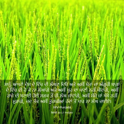 Picture 03 - ਗਿਣਤੀ 20:17 PANIRV - ਸਾਨੂੰ ਆਪਣੇ ਦੇਸ ਦੇ - Bible Verse Picture