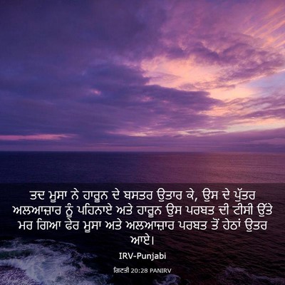 Picture 03 - ਗਿਣਤੀ 20:28 PANIRV - ਤਦ ਮੂਸਾ ਨੇ ਹਾਰੂਨ ਦੇ - Bible Verse Picture