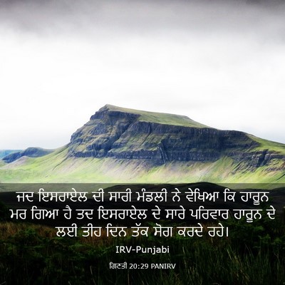 Picture 03 - ਗਿਣਤੀ 20:29 PANIRV - ਜਦ ਇਸਰਾਏਲ ਦੀ ਸਾਰੀ - Bible Verse Picture