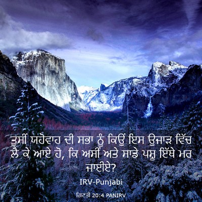 Picture 03 - ਗਿਣਤੀ 20:4 PANIRV - ਤੁਸੀਂ ਯਹੋਵਾਹ ਦੀ - Bible Verse Picture