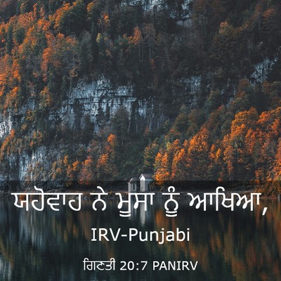 Picture 03 - ਗਿਣਤੀ 20:7 PANIRV - ਯਹੋਵਾਹ ਨੇ ਮੂਸਾ ਨੂੰ - Bible Verse Picture