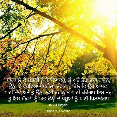 Picture 03 - ਗਿਣਤੀ 20:8 PANIRV - ਢਾਂਗਾ ਲੈ ਕੇ ਮੰਡਲੀ - Bible Verse Picture