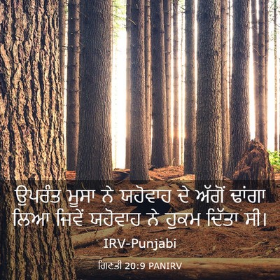 Picture 03 - ਗਿਣਤੀ 20:9 PANIRV - ਉਪਰੰਤ ਮੂਸਾ ਨੇ - Bible Verse Picture