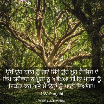 Picture 03 - ਗਿਣਤੀ 21:16 PANIRV - ਉੱਥੋਂ ਉਹ ਬਏਰ ਨੂੰ ਗਏ - Bible Verse Picture
