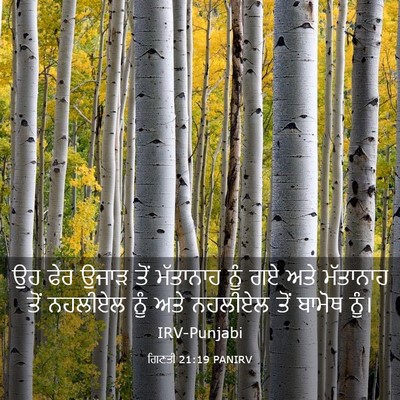 Picture 03 - ਗਿਣਤੀ 21:19 PANIRV - ਉਹ ਫੇਰ ਉਜਾੜ ਤੋਂ - Bible Verse Picture