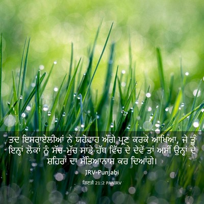 Picture 03 - ਗਿਣਤੀ 21:2 PANIRV - ਤਦ ਇਸਰਾਏਲੀਆਂ ਨੇ - Bible Verse Picture
