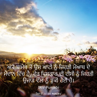 Picture 03 - ਗਿਣਤੀ 21:20 PANIRV - ਅਤੇ ਬਾਮੋਥ ਤੋਂ ਉਸ - Bible Verse Picture