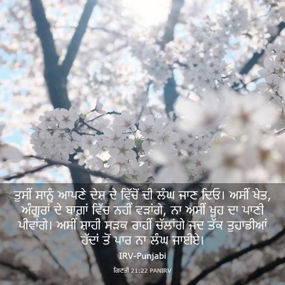 Picture 03 - ਗਿਣਤੀ 21:22 PANIRV - ਤੁਸੀਂ ਸਾਨੂੰ ਆਪਣੇ - Bible Verse Picture