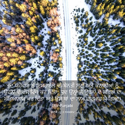 Picture 03 - ਗਿਣਤੀ 21:3 PANIRV - ਤਦ ਯਹੋਵਾਹ ਨੇ - Bible Verse Picture