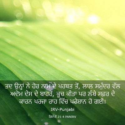 Picture 03 - ਗਿਣਤੀ 21:4 PANIRV - ਤਦ ਉਨ੍ਹਾਂ ਨੇ ਹੋਰ - Bible Verse Picture