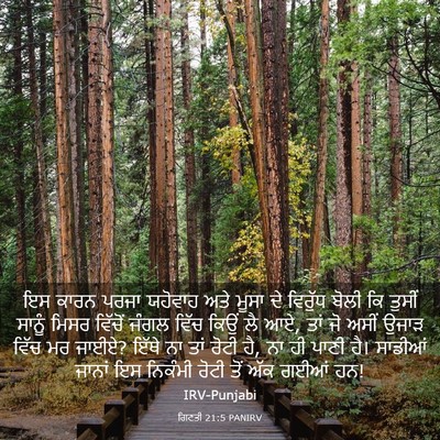 Picture 03 - ਗਿਣਤੀ 21:5 PANIRV - ਇਸ ਕਾਰਨ ਪਰਜਾ - Bible Verse Picture