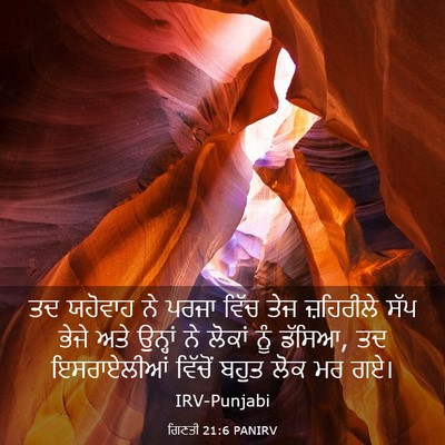 Picture 03 - ਗਿਣਤੀ 21:6 PANIRV - ਤਦ ਯਹੋਵਾਹ ਨੇ ਪਰਜਾ - Bible Verse Picture