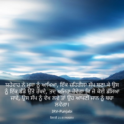 Picture 03 - ਗਿਣਤੀ 21:8 PANIRV - ਯਹੋਵਾਹ ਨੇ ਮੂਸਾ ਨੂੰ - Bible Verse Picture