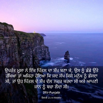 Picture 03 - ਗਿਣਤੀ 21:9 PANIRV - ਉਪਰੰਤ ਮੂਸਾ ਨੇ ਇੱਕ - Bible Verse Picture