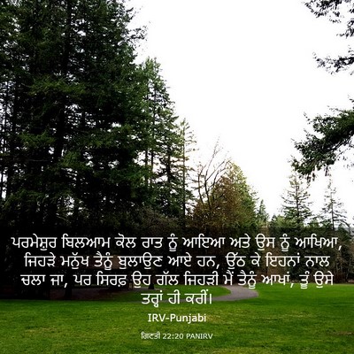 Picture 03 - ਗਿਣਤੀ 22:20 PANIRV - ਪਰਮੇਸ਼ੁਰ ਬਿਲਆਮ - Bible Verse Picture