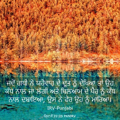 Picture 03 - ਗਿਣਤੀ 22:25 PANIRV - ਜਦੋਂ ਗਧੀ ਨੇ ਯਹੋਵਾਹ - Bible Verse Picture