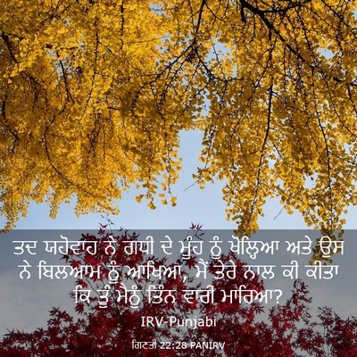 Picture 03 - ਗਿਣਤੀ 22:28 PANIRV - ਤਦ ਯਹੋਵਾਹ ਨੇ ਗਧੀ ਦੇ - Bible Verse Picture