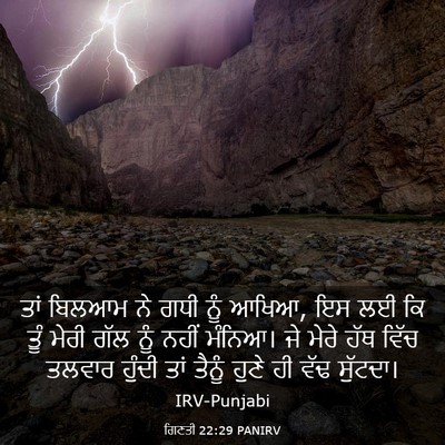 Picture 03 - ਗਿਣਤੀ 22:29 PANIRV - ਤਾਂ ਬਿਲਆਮ ਨੇ ਗਧੀ - Bible Verse Picture