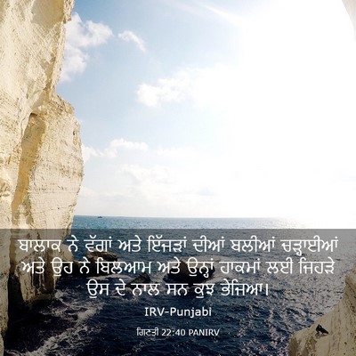 Picture 03 - ਗਿਣਤੀ 22:40 PANIRV - ਬਾਲਾਕ ਨੇ ਵੱਗਾਂ ਅਤੇ - Bible Verse Picture