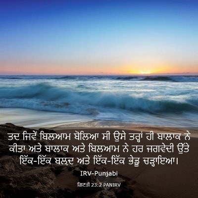 Picture 03 - ਗਿਣਤੀ 23:2 PANIRV - ਤਦ ਜਿਵੇਂ ਬਿਲਆਮ - Bible Verse Picture
