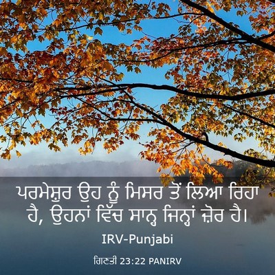 Picture 03 - ਗਿਣਤੀ 23:22 PANIRV - ਪਰਮੇਸ਼ੁਰ ਉਹ ਨੂੰ - Bible Verse Picture