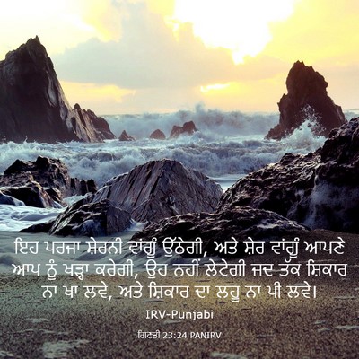Picture 03 - ਗਿਣਤੀ 23:24 PANIRV - ਇਹ ਪਰਜਾ ਸ਼ੇਰਨੀ - Bible Verse Picture