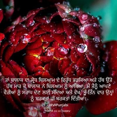 Picture 03 - ਗਿਣਤੀ 24:10 PANIRV - ਤਾਂ ਬਾਲਾਕ ਦਾ ਕ੍ਰੋਧ - Bible Verse Picture