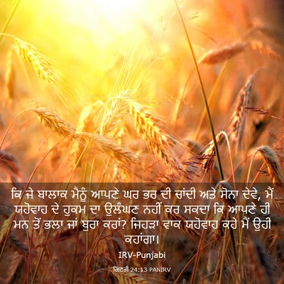 Picture 03 - ਗਿਣਤੀ 24:13 PANIRV - ਕਿ ਜੇ ਬਾਲਾਕ ਮੈਨੂੰ - Bible Verse Picture