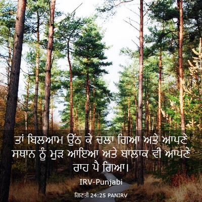 Picture 03 - ਗਿਣਤੀ 24:25 PANIRV - ਤਾਂ ਬਿਲਆਮ ਉੱਠ ਕੇ - Bible Verse Picture