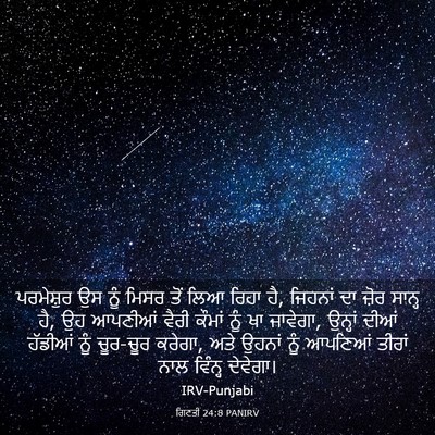 Picture 03 - ਗਿਣਤੀ 24:8 PANIRV - ਪਰਮੇਸ਼ੁਰ ਉਸ ਨੂੰ - Bible Verse Picture