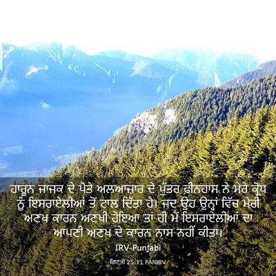 Picture 03 - ਗਿਣਤੀ 25:11 PANIRV - ਹਾਰੂਨ ਜਾਜਕ ਦੇ ਪੋਤੇ - Bible Verse Picture