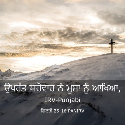 Picture 03 - ਗਿਣਤੀ 25:16 PANIRV - ਉਪਰੰਤ ਯਹੋਵਾਹ ਨੇ - Bible Verse Picture