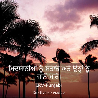 Picture 03 - ਗਿਣਤੀ 25:17 PANIRV - ਮਿਦਯਾਨੀਆਂ ਨੂੰ - Bible Verse Picture