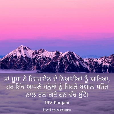 Picture 03 - ਗਿਣਤੀ 25:5 PANIRV - ਤਾਂ ਮੂਸਾ ਨੇ ਇਸਰਾਏਲ - Bible Verse Picture