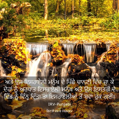 Picture 03 - ਗਿਣਤੀ 25:8 PANIRV - ਅਤੇ ਉਸ ਇਸਰਾਏਲੀ - Bible Verse Picture