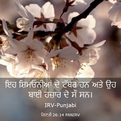 Picture 03 - ਗਿਣਤੀ 26:14 PANIRV - ਇਹ ਸ਼ਿਮਓਨੀਆਂ ਦੇ - Bible Verse Picture