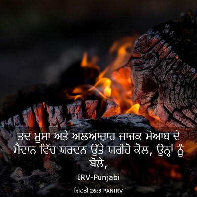 Picture 03 - ਗਿਣਤੀ 26:3 PANIRV - ਤਦ ਮੂਸਾ ਅਤੇ - Bible Verse Picture