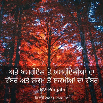 Picture 03 - ਗਿਣਤੀ 26:31 PANIRV - ਅਤੇ ਅਸਰੀਏਲ ਤੋਂ - Bible Verse Picture