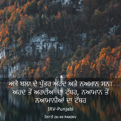 Picture 03 - ਗਿਣਤੀ 26:40 PANIRV - ਅਤੇ ਬਲਾ ਦੇ ਪੁੱਤਰ - Bible Verse Picture