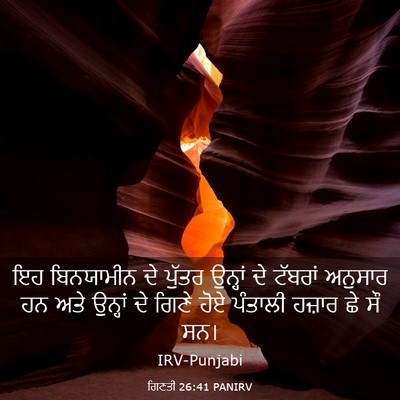 Picture 03 - ਗਿਣਤੀ 26:41 PANIRV - ਇਹ ਬਿਨਯਾਮੀਨ ਦੇ - Bible Verse Picture